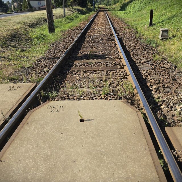 Pijany próbował zatrzymać nadjeżdżający pociąg! Policja zapobiegła tragedii