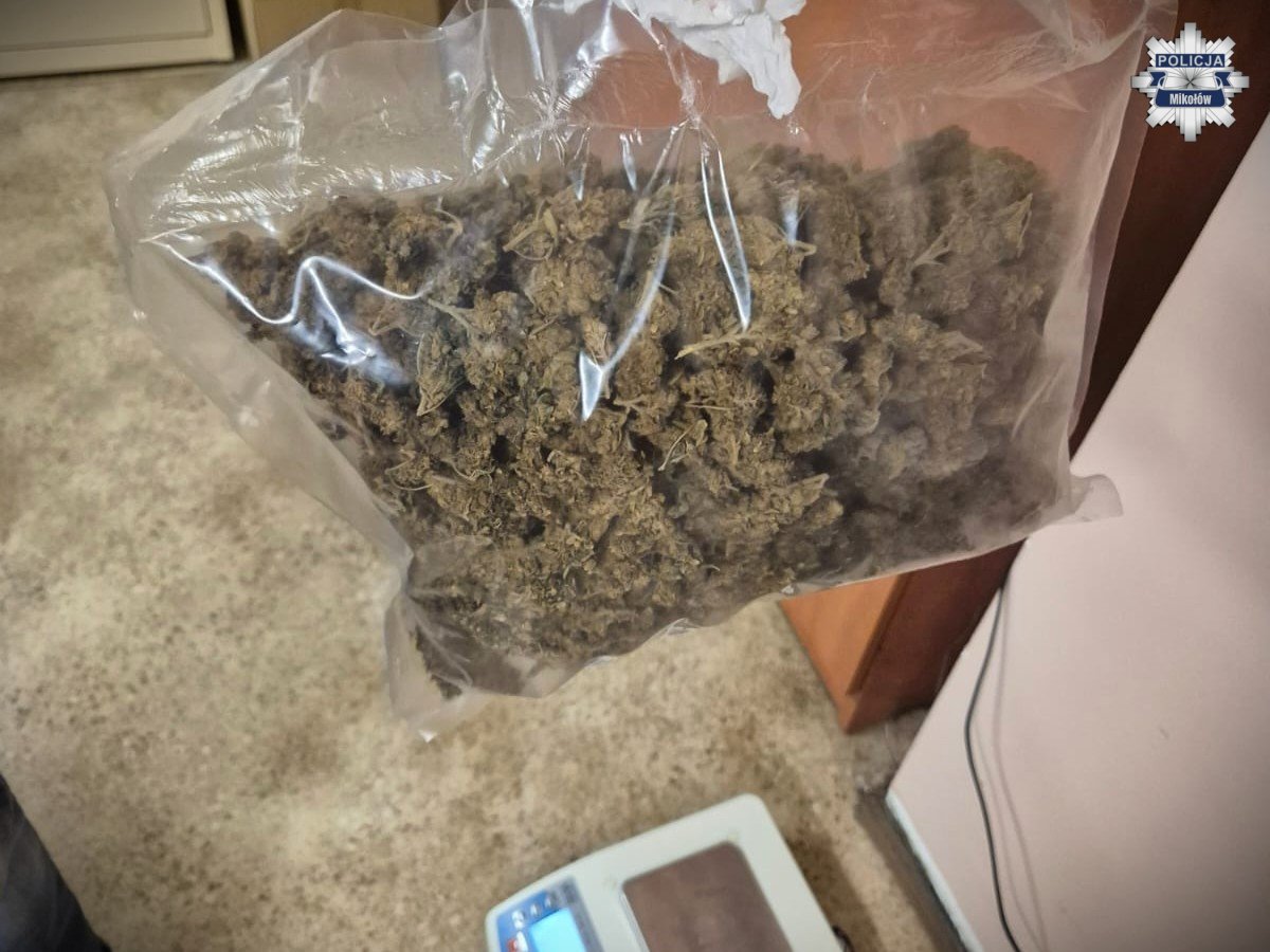 Mikołów: Dwóch mężczyzn zatrzymanych z marihuaną – grozi im 10 lat więzienia