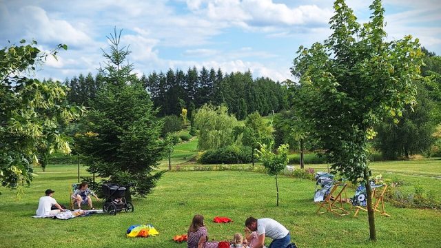 "Zielone Popołudnie" w Śląskim Ogrodzie Botanicznym – piknik i warsztaty dla dzieci
